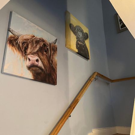 11 Parkmore Street, Ormeau Road, Belfast, Bt7 2Gt, 2 Bedroom House Kültér fotó