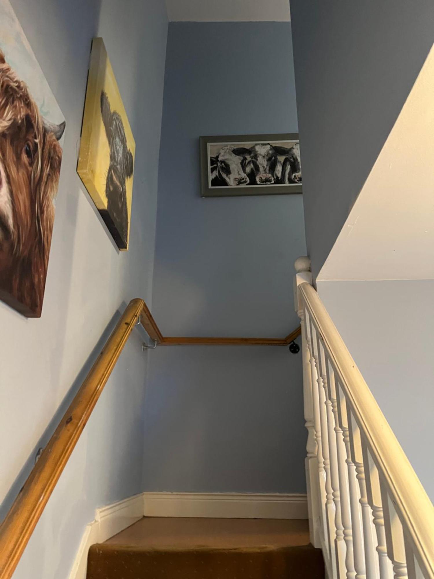 11 Parkmore Street, Ormeau Road, Belfast, Bt7 2Gt, 2 Bedroom House Kültér fotó